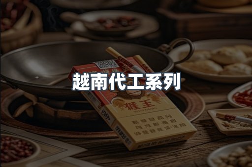 越南代工系列